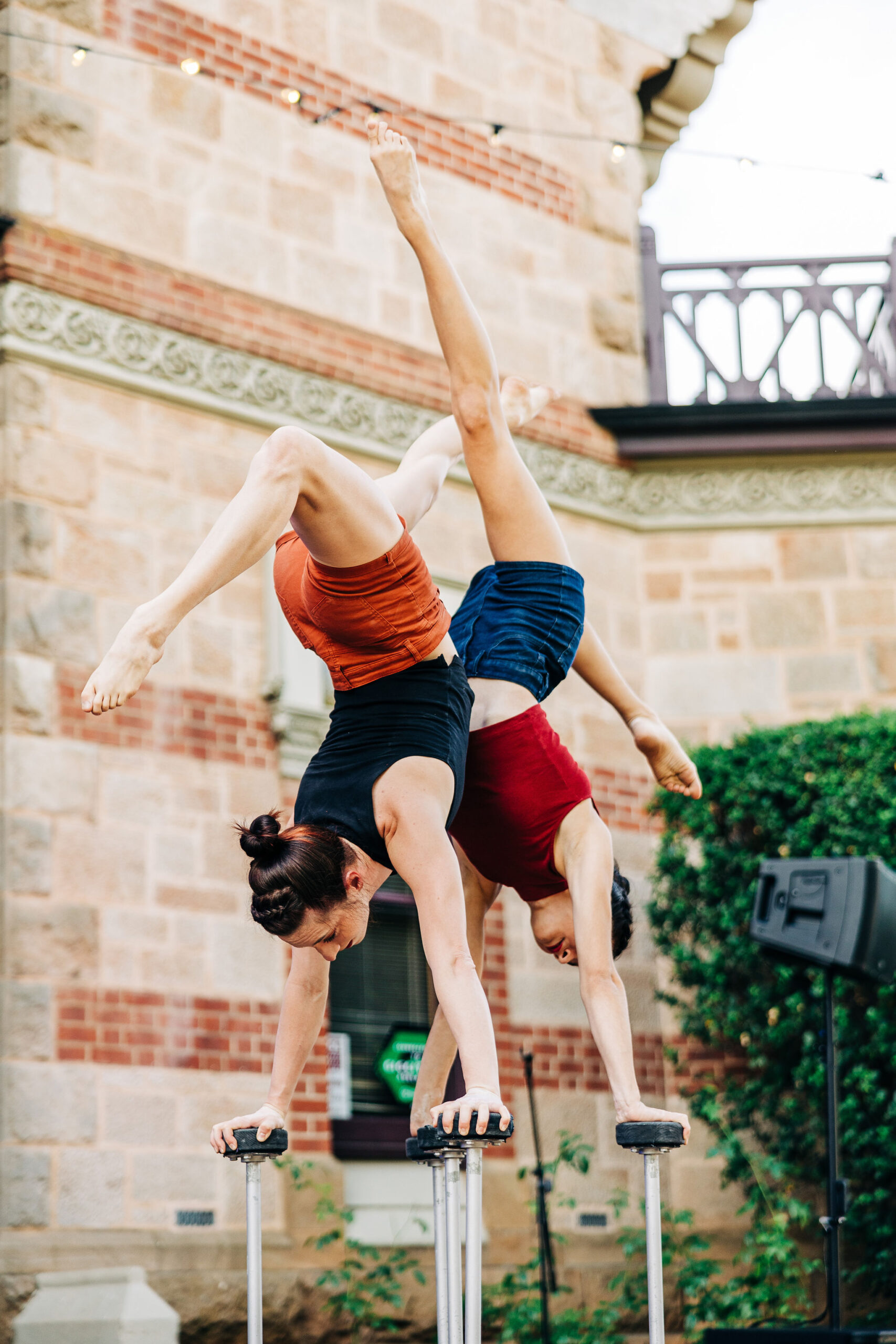 SamuelGraves_CarclewPicnic-43