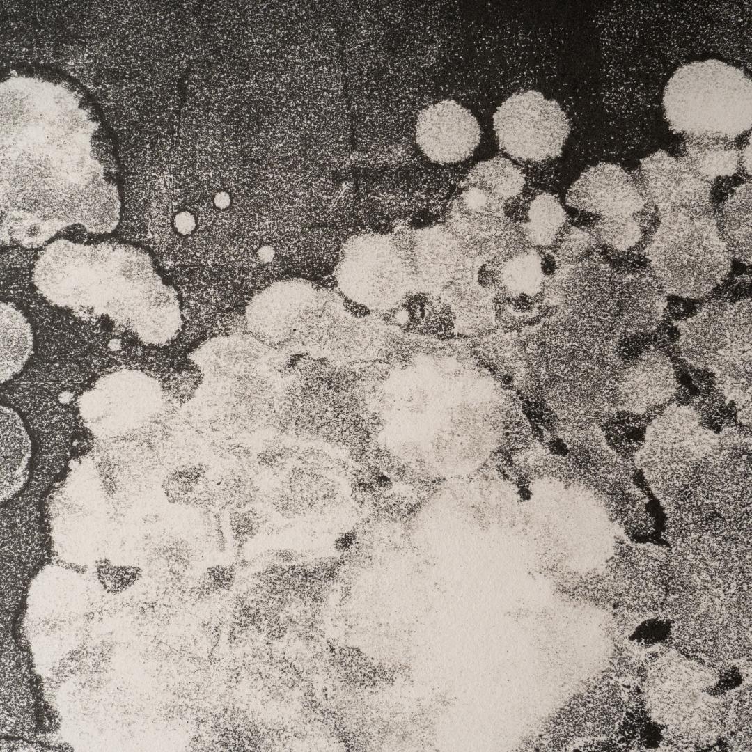 close up of ink and turpentine monotype print on paper by Talitha Benson. The ink has a speckled appearance on the paper, with lighter drip patterns where the turpentine has been applied, dispersing the ink